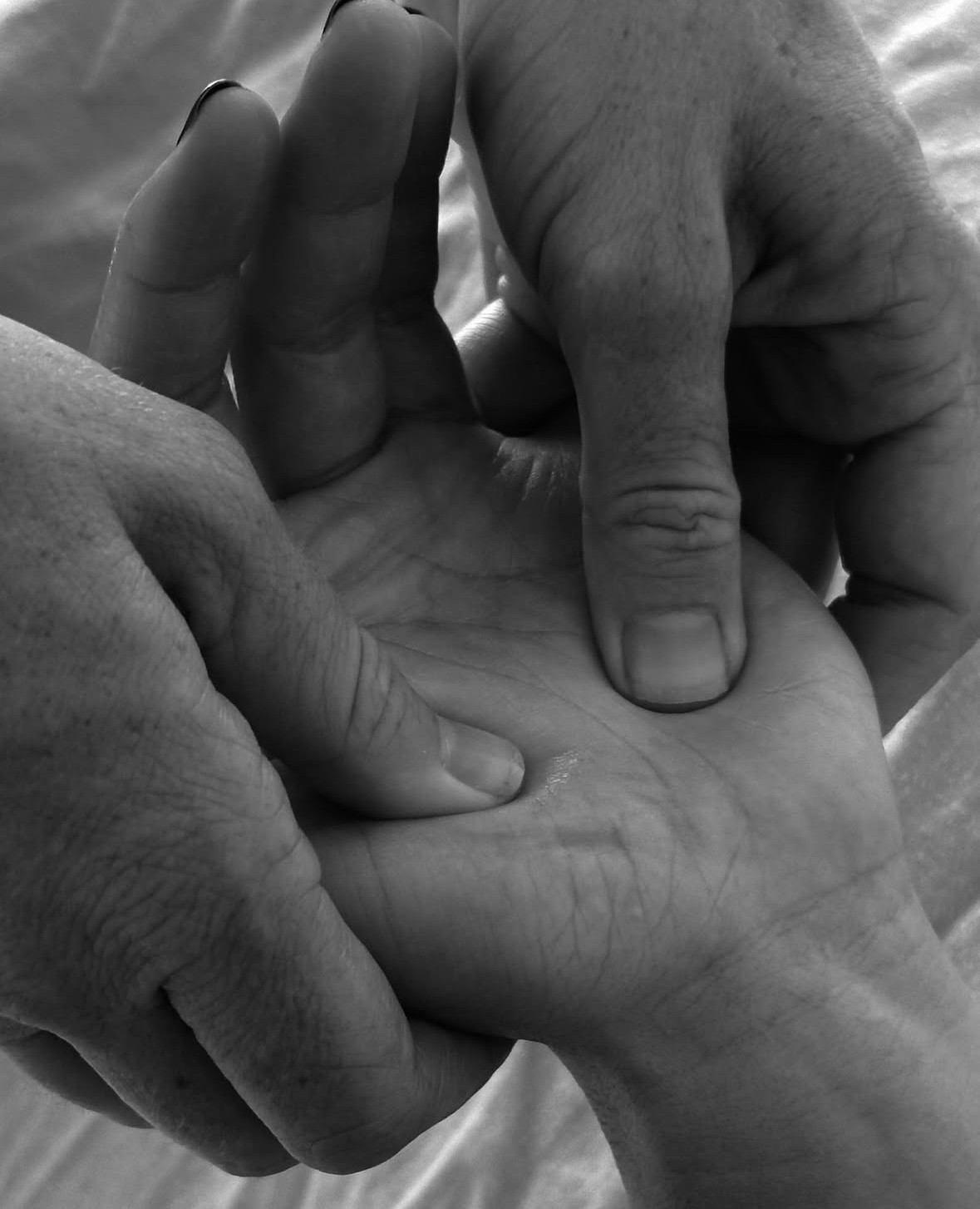 ea31694e-4590-4583-8114-b1d26c766c58